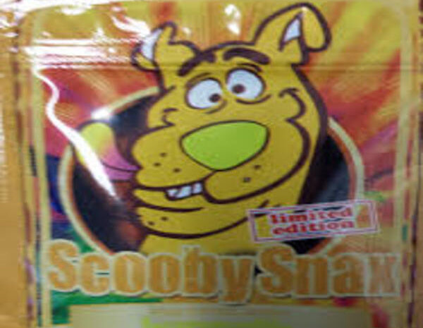 Koop Scooby Snax (15 g) online, een premium kruidenwierook.